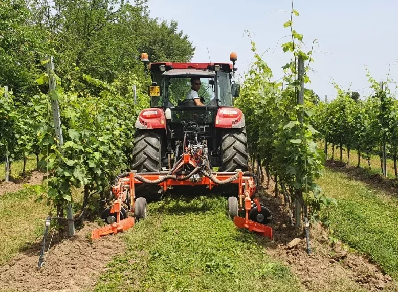 banner-lavorare-il-vigneto-con-interfilare
